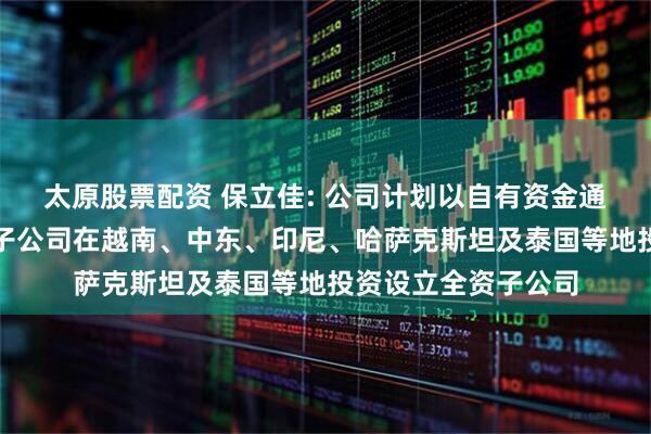 太原股票配资 保立佳: 公司计划以自有资金通过位于香港的全资子公司在越南、中东、印尼、哈萨克斯坦及泰国等地投资设立全资子公司